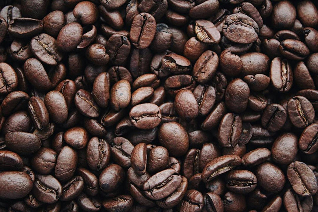 Wake Up Your Skin: The Energizing Benefits of Coffee in Skincare - Sundara Aura